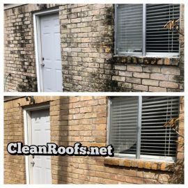Magnolia Roof Stain Removal Magnolia Roof Stain Removal